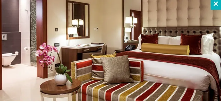 Deluxe Room room
