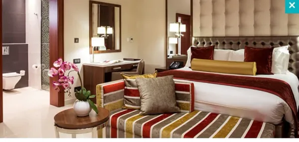 Deluxe Room room